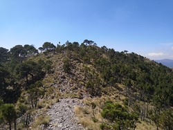 Ajusco East 1