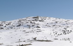 Ettusenogfemmeterhøgda