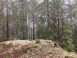 Nordvest for Varsjøen