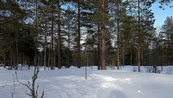 Granåsen