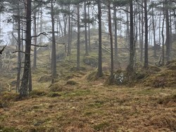 Nordvest for Jonåsen