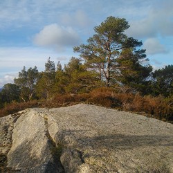 Moldstigahaugen