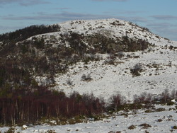 Kolfjellet