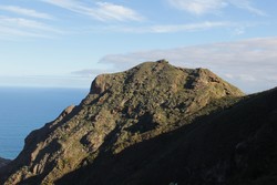Roque de Enmedio