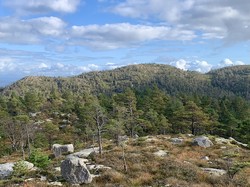 Landråkfjellet