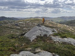 Skogefjellet