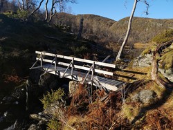 Liten trebro ved Torvavatnet
