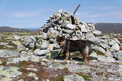 Östra Barfredhågna