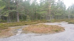 Hårgaberget dansplatsen