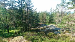 Gunnarholsberget