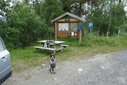 Bjørnsledet parkering