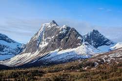 Grønfonnfjellet