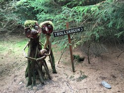 Trollskogen