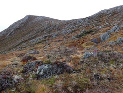 Tursti Blåtind via Klungsdalen