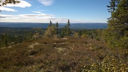 Storskardhøgde utsikt mot sør