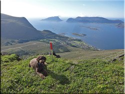 Tursti Sandvikhornet - Storehanen