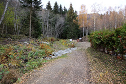 Tursti Nornes - Breidesete