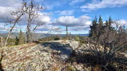 Bakombergmyratn, sør for