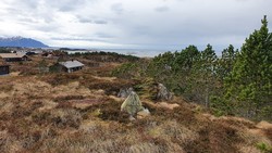 Hasløya