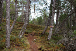 Blåfjellet