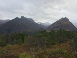 Tjønesfjellet