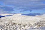 Mastrehaugfjellet