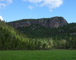 Rysefjell