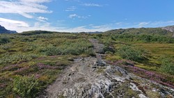 Hamlagrøosen - Vending turisthytte
