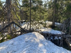 Svartdalsbrenna Øst