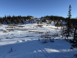 Våttåfjellet nord