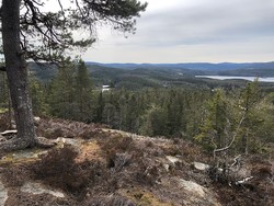 Utsikt Glotjernskollen