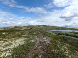 Måsåfjellet