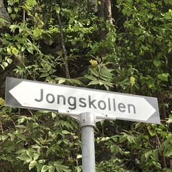 Jongskollen