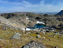 Seiland Altneset-Hønseby