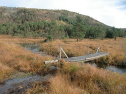 Gangbro over Rødlandselva