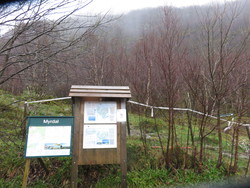 Tysnessåta parkering