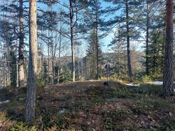 Stutåsen