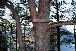 Sørvestre Hovdekollen