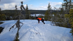 Sør for Borgenkampen
