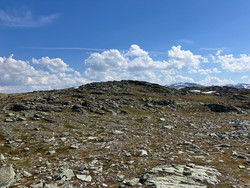 Skåpkollen