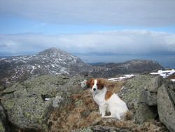 Etlådnefjellet