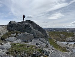 Grauthellerheia vest