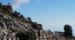 Mirador Del Macho Montes