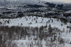 Seterskarhaugen