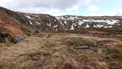 Fjellheim (ruin), Vidden