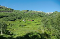 Skårstølen
