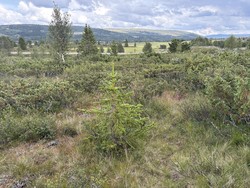 Vestre Slidre kommunes geografiske midtpunkt
