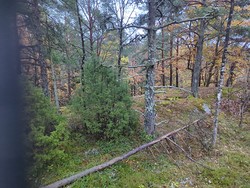 Herregårdsåsen Nord