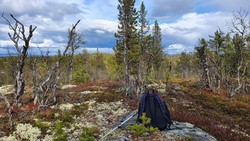 Vest for Jakobstjern