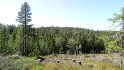 Gransjøhøgda Nordvest